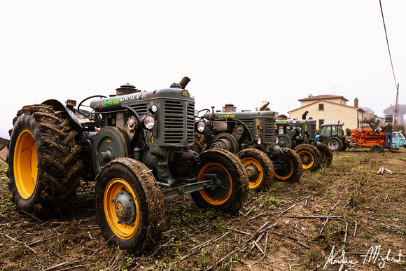 Fratticciola di Cortona (AR) - Festa del carro agricolo - Ottobre